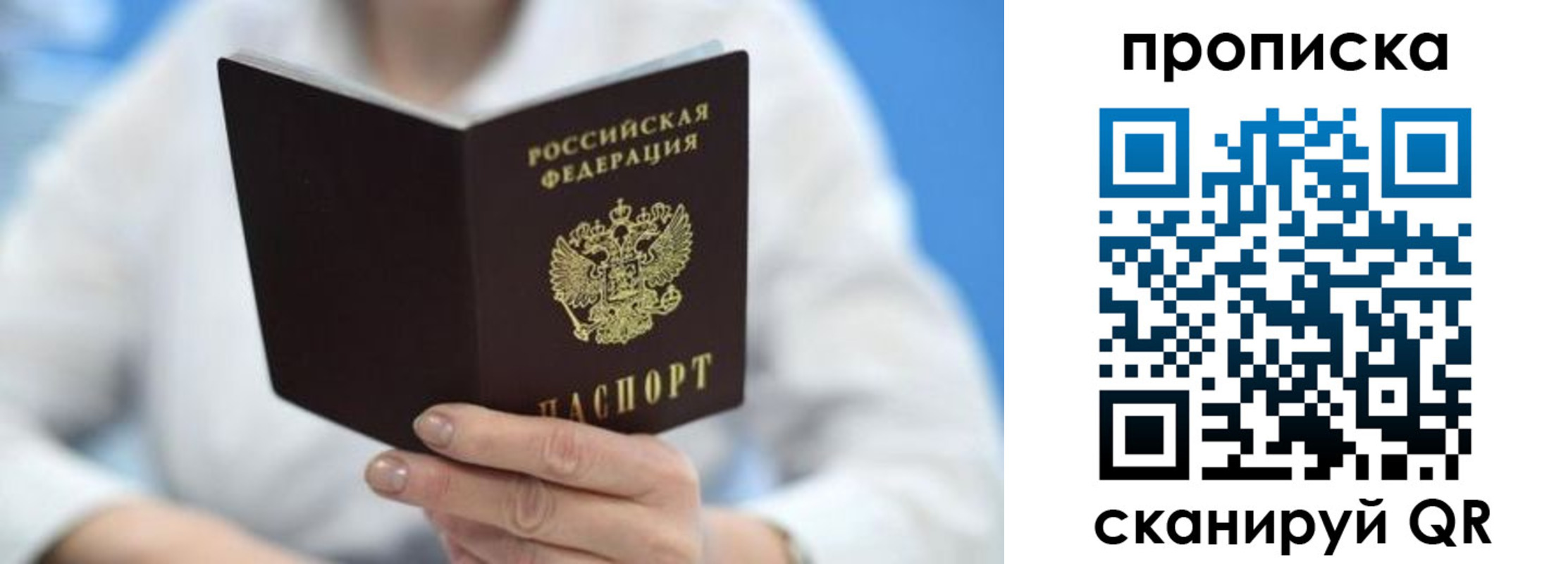 прописка 2025 в Кольчугино
